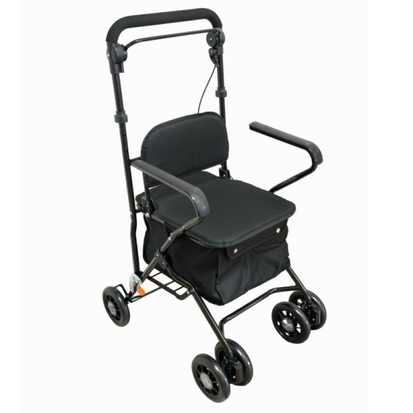 Andarilho de compras c/4 rodas