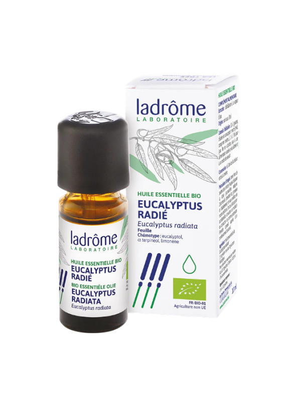 Óleo essencial eucalipto radiata  BIO 10ml Ladrôme