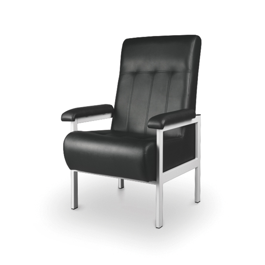 Cadeirão de Acompanhante Costa Alta