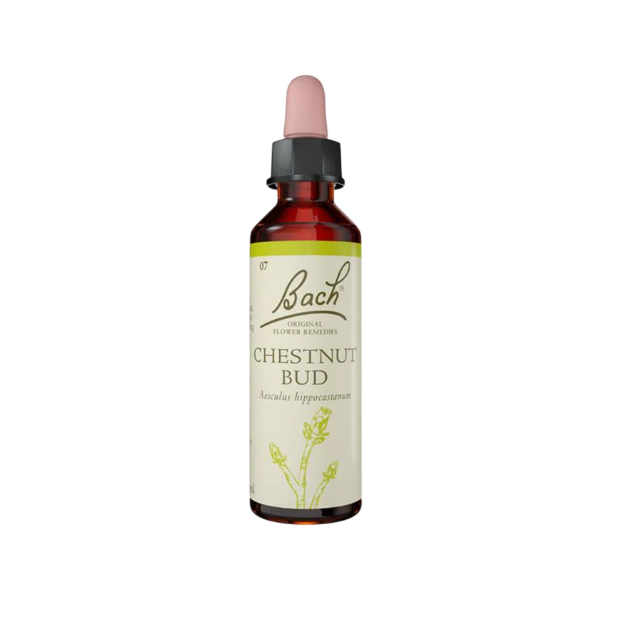 Chestnut Bud 20ml Floral de Bach