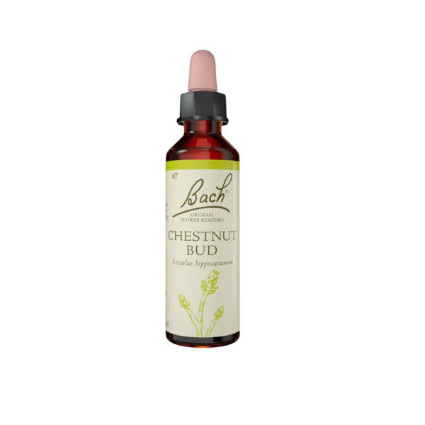 Chestnut Bud 20ml Floral de Bach