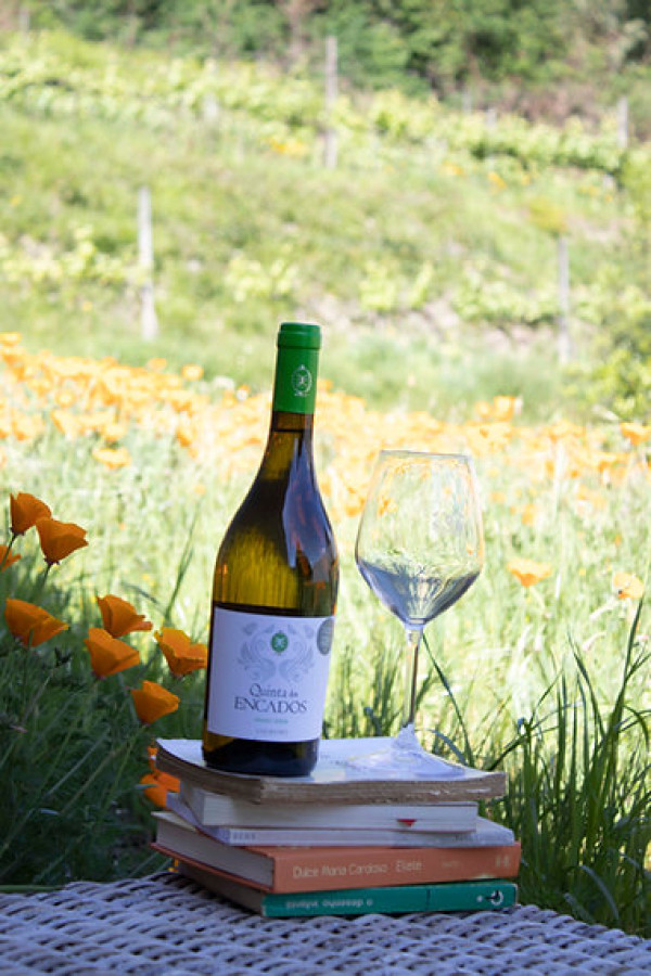 Vinho Vd. Quinta dos Encados Loureiro 2021