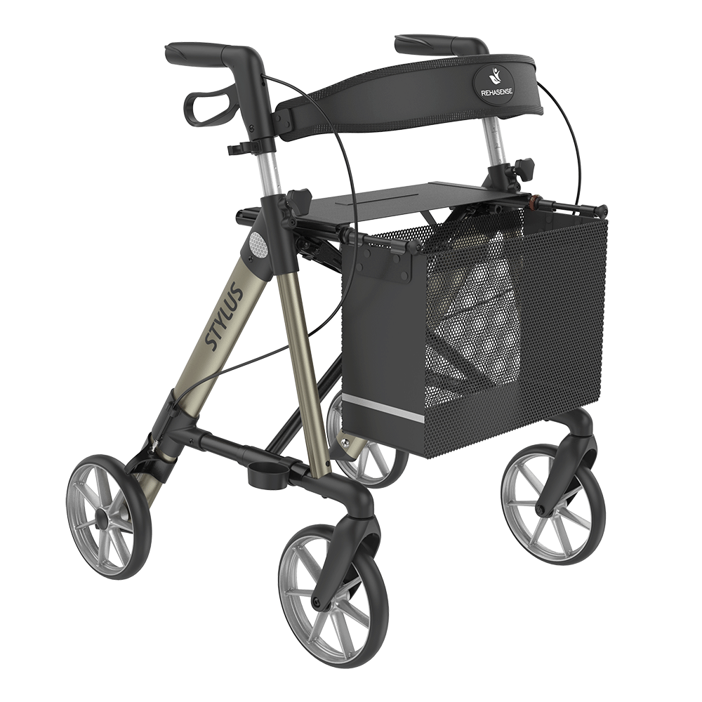 Andarilho Stylus champanhe M/55cm
