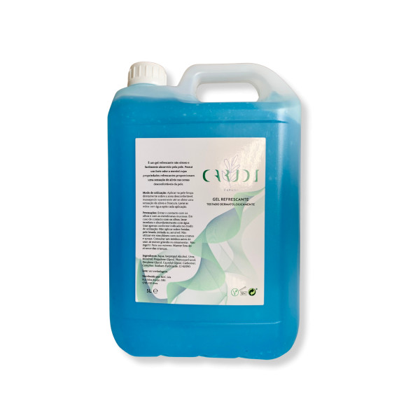 Gel refrescante 5lt CARUDI